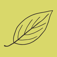 Clean Ingredients